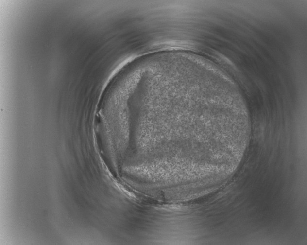 X0000080181182200612302237