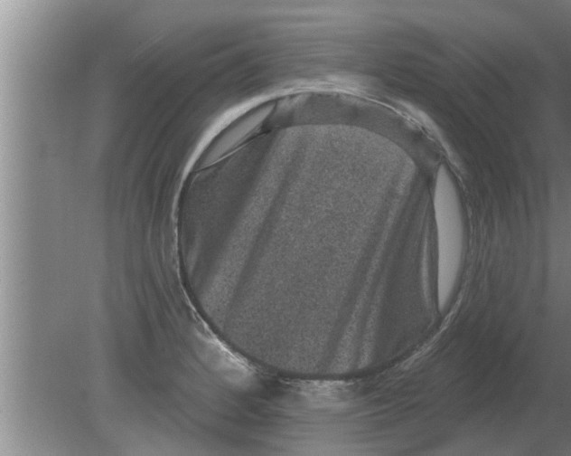 X0000080181184200612302237