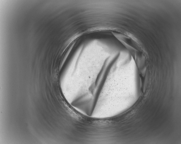 X0000080181185200612302237