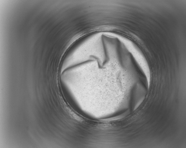 X0000080181186200612302237