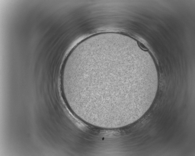 X0000080181187200612302237