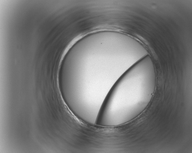 X0000080181188200612302237