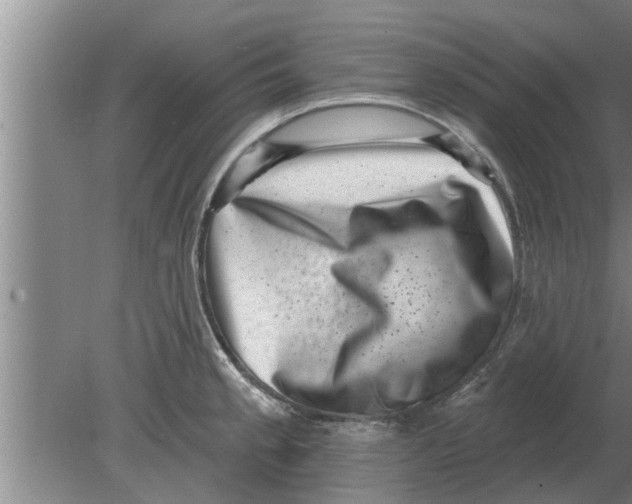 X0000080181189200612302237