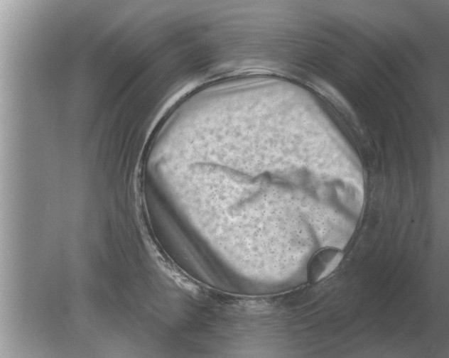 X0000080181190200612302237