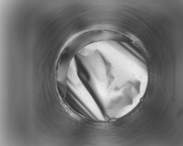 X0000080181192200612302237