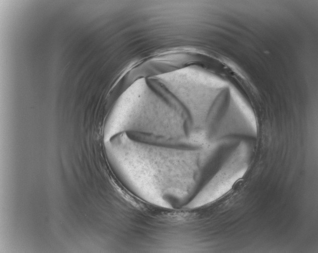 X0000080181193200612302237