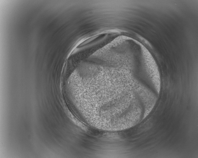 X0000080181194200612302237