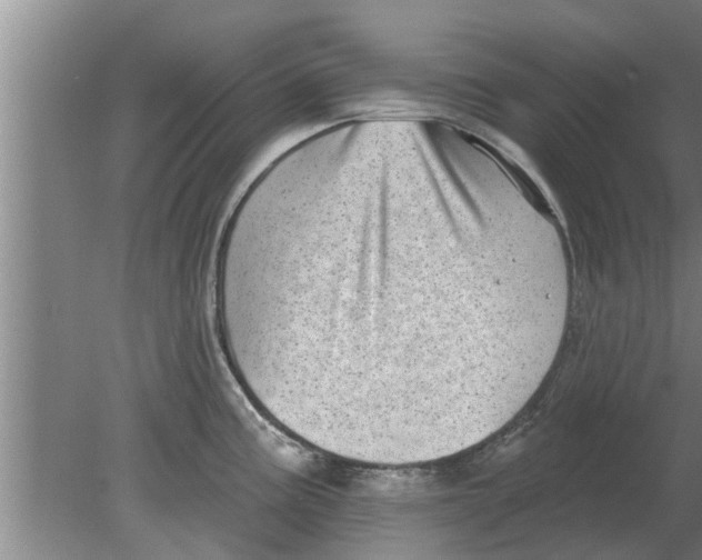 X0000080181195200612302237