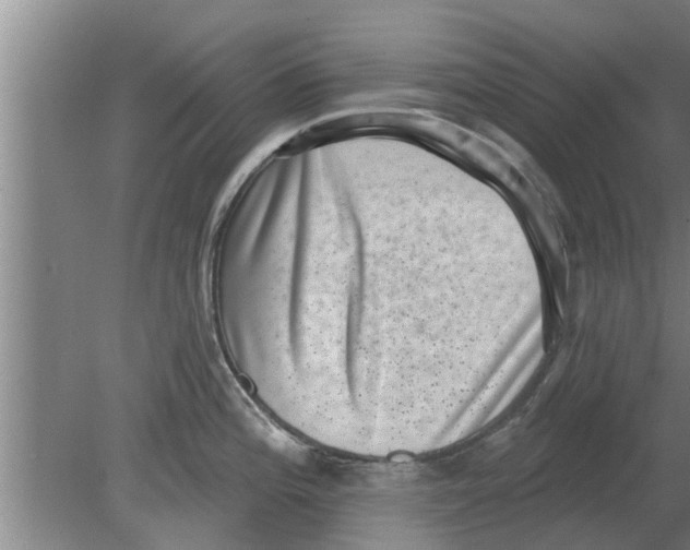 X0000080181196200612302237