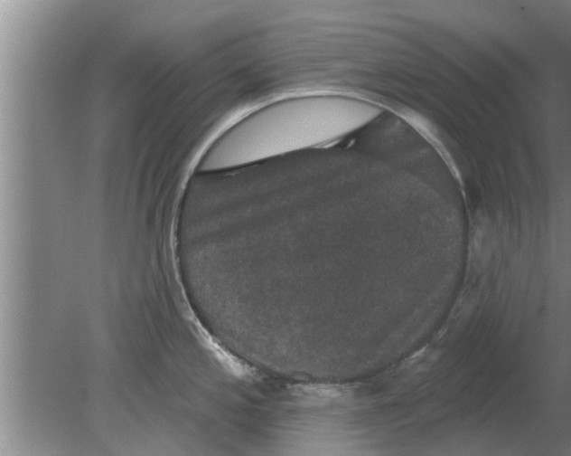 X0000080181197200612302237