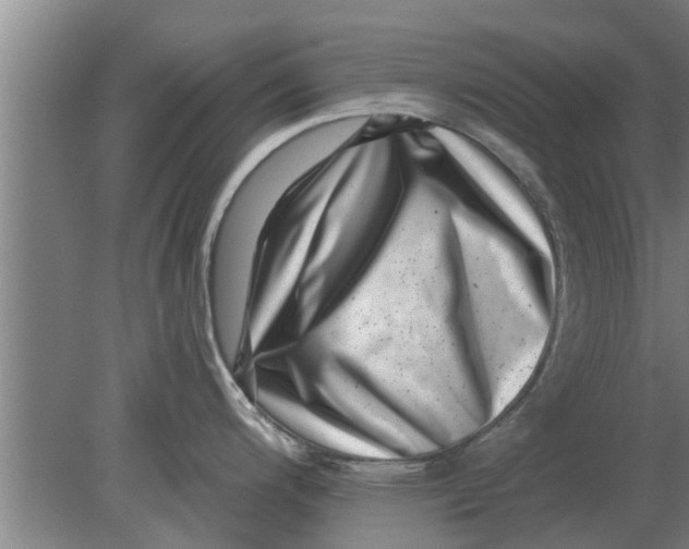 X0000080181200200612302237