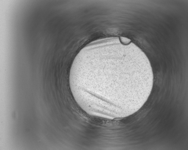 X0000080181201200612302236