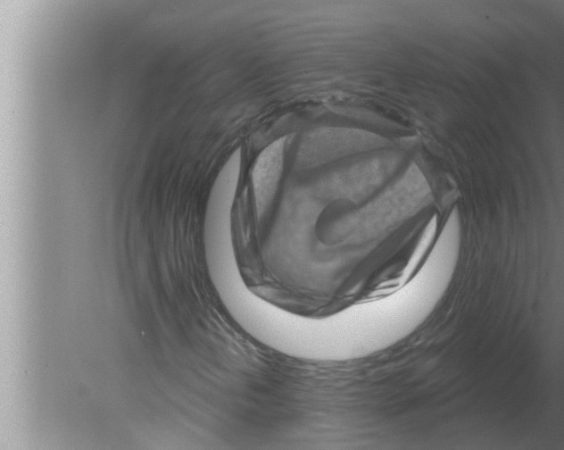 X0000080181202200612302236