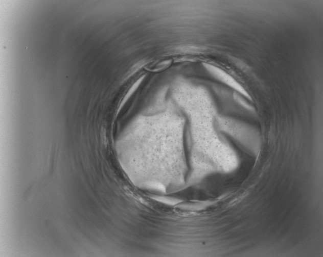 X0000080181209200612302236