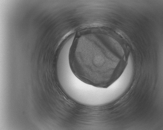 X0000080181210200612302236