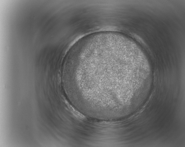 X0000080181212200612302236