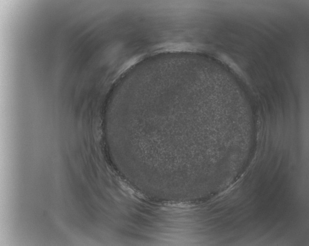 X0000080181213200612302236