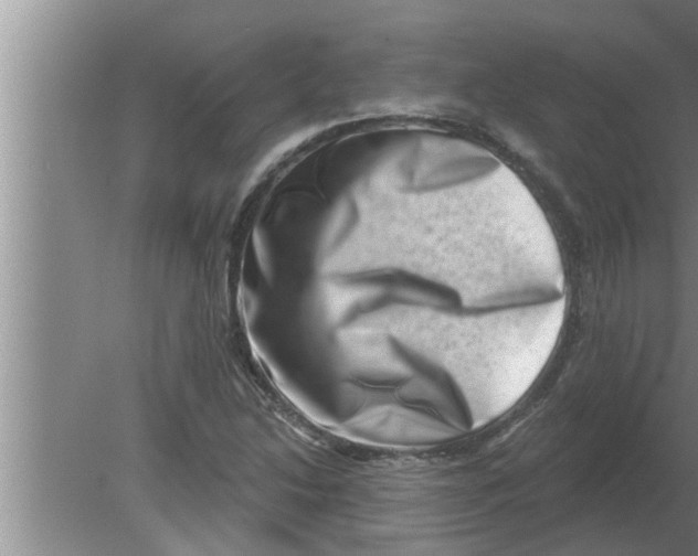 X0000080181214200612302236