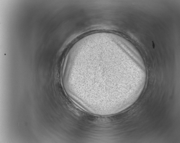 X0000080181215200612302236