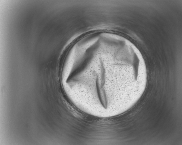 X0000080181216200612302236