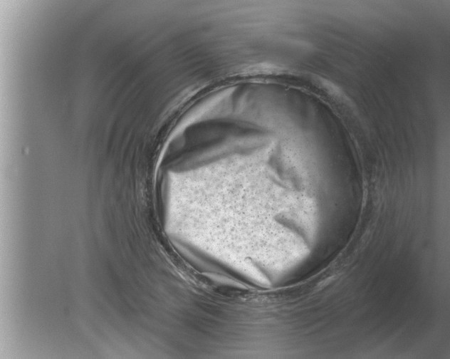 X0000080181217200612302236