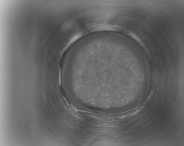 X0000080181219200612302236