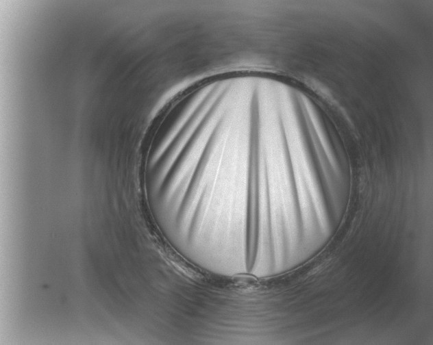 X0000080181222200612302236