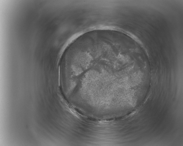 X0000080181223200612302236