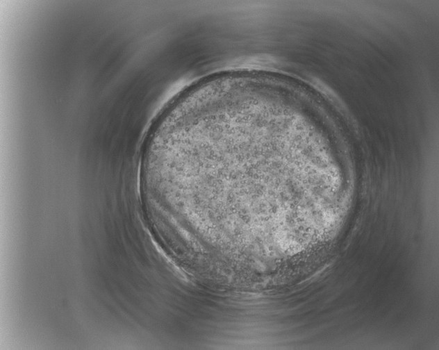 X0000080181224200612302236