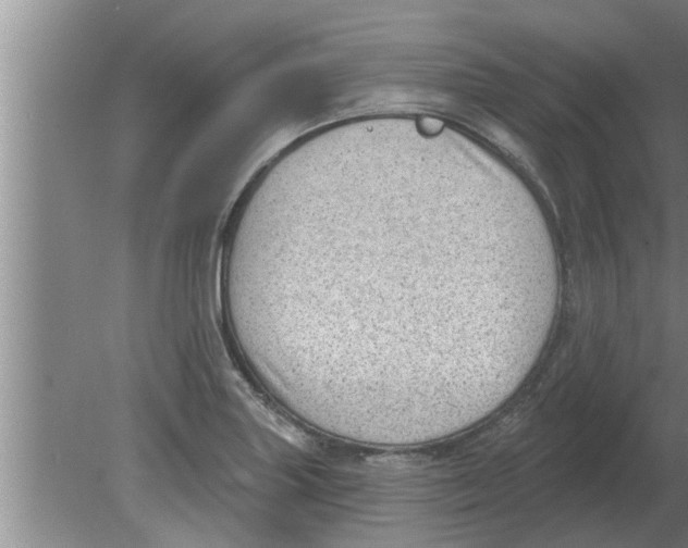 X0000080181227200612302236