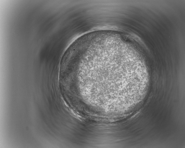 X0000080181228200612302237