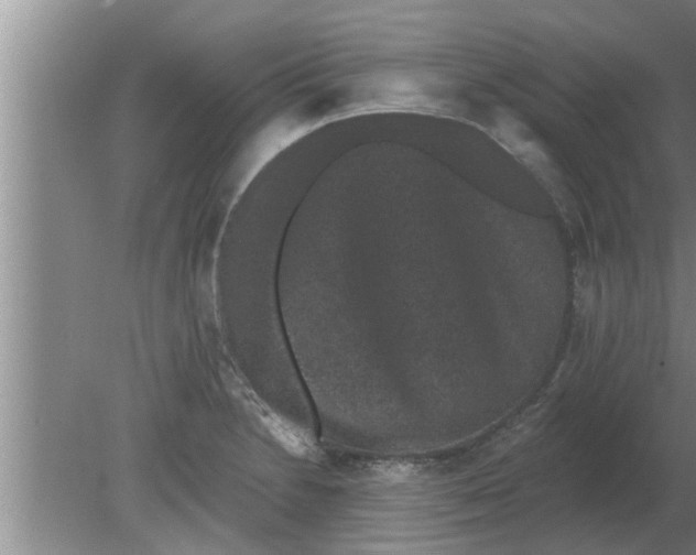 X0000080181230200612302237