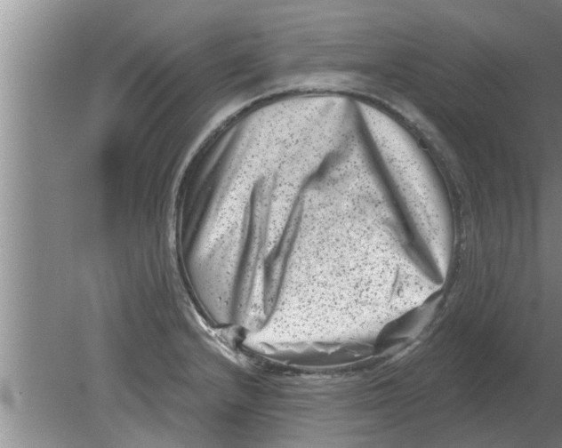 X0000080181232200612302237