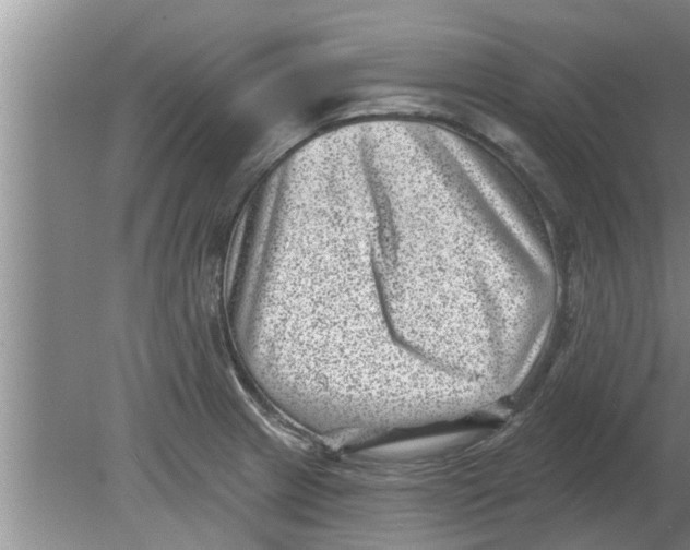 X0000080181233200612302237