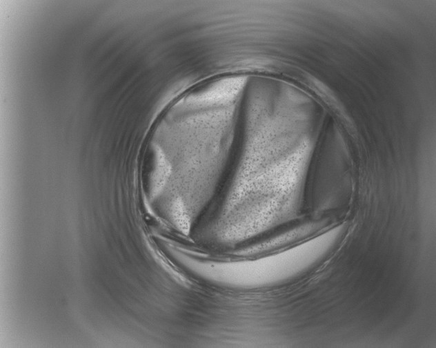 X0000080181234200612302237