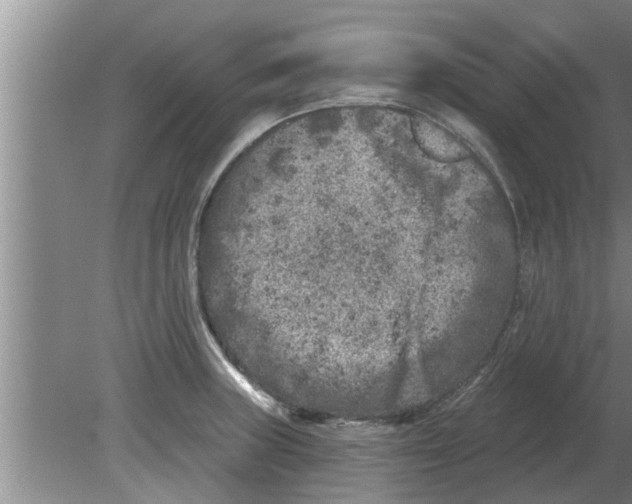 X0000080181235200612302237