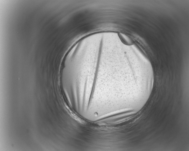 X0000080181236200612302237