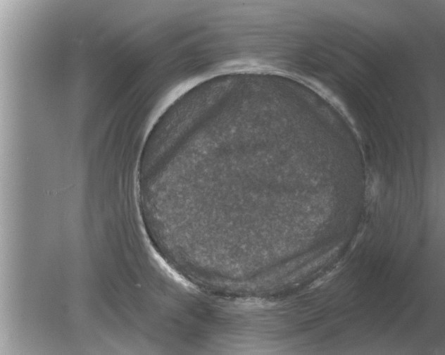 X0000080181239200612302237