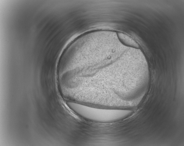 X0000080181240200612302237