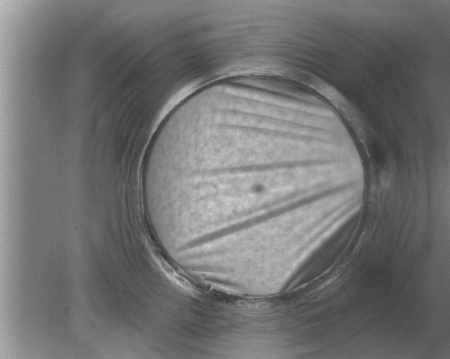 X0000080181242200612302237