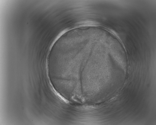 X0000080181243200612302237