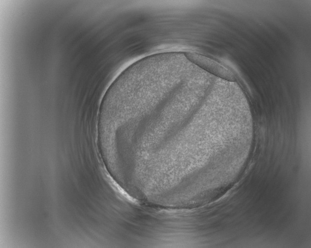 X0000080181244200612302237