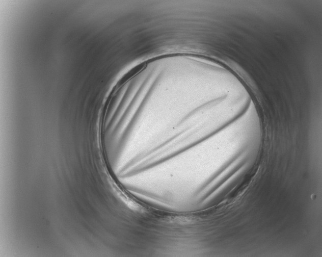 X0000080181246200612302237