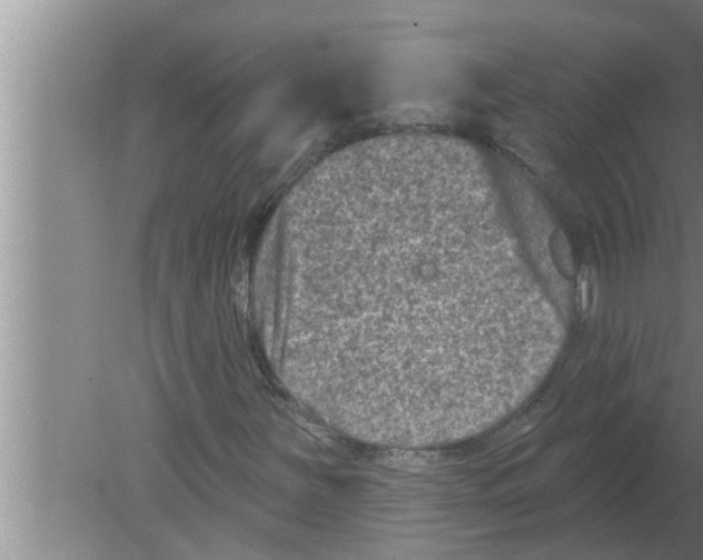 X0000080181251200612302236