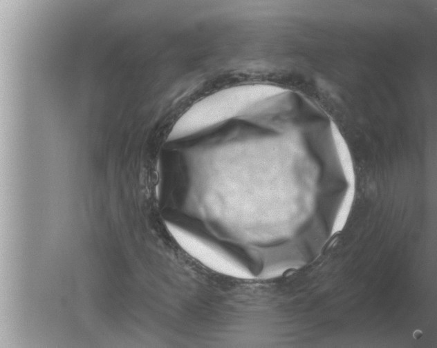 X0000080181253200612302236