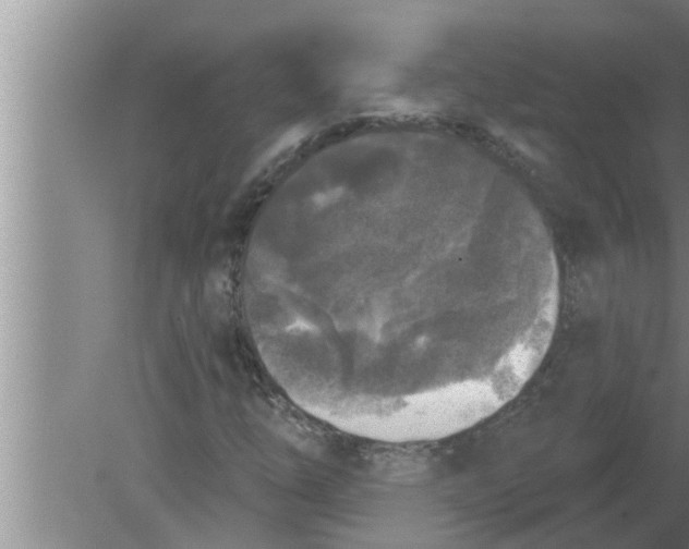 X0000080181254200612302236