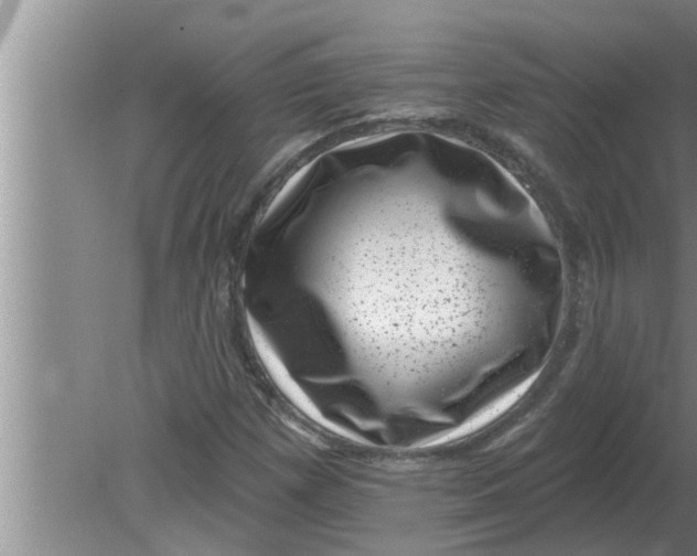 X0000080181257200612302236