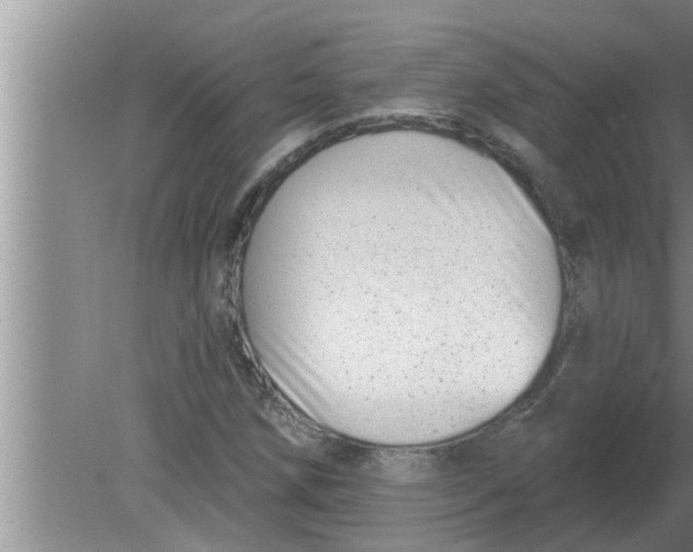 X0000080181258200612302236