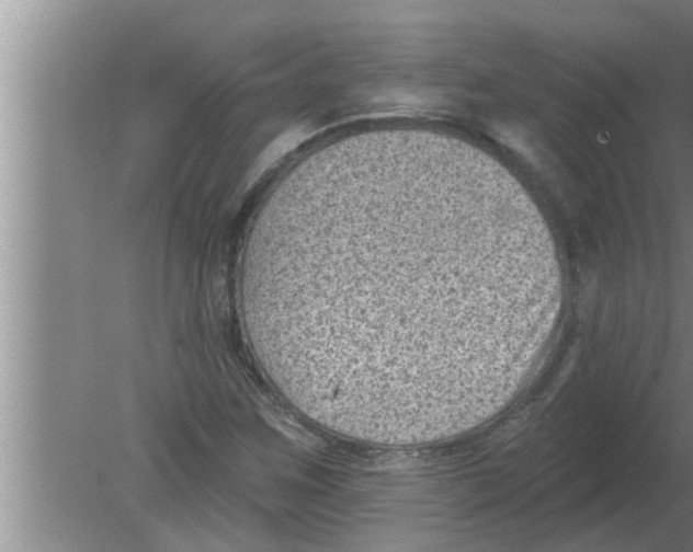 X0000080181259200612302236