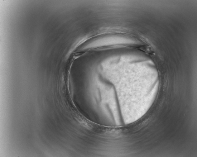 X0000080181261200612302236